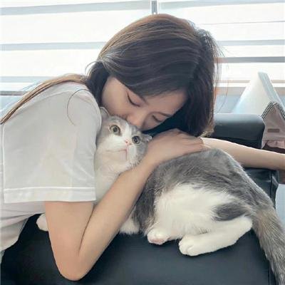 七小汪警犬队